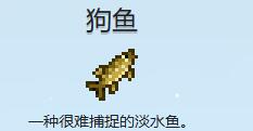 探秘星露谷物语：高效狗鱼收集攻略揭晓！你抓不到的秘密技巧是什么？