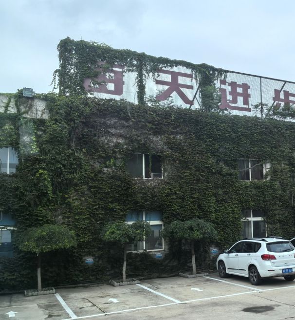 从初代造车到35年后：汽车创业者成功秘诀深度解析