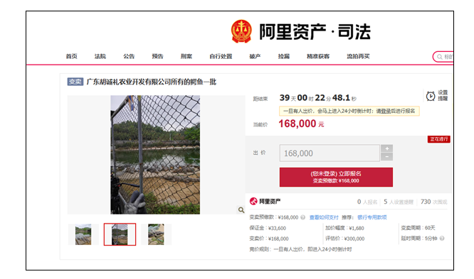 你敢挑战吗？如何在阿里拍卖上捕获活鳄鱼？
