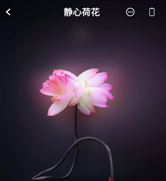 轻松设置哇叽壁纸锁屏：掌握手机美化技巧，提升视觉体验