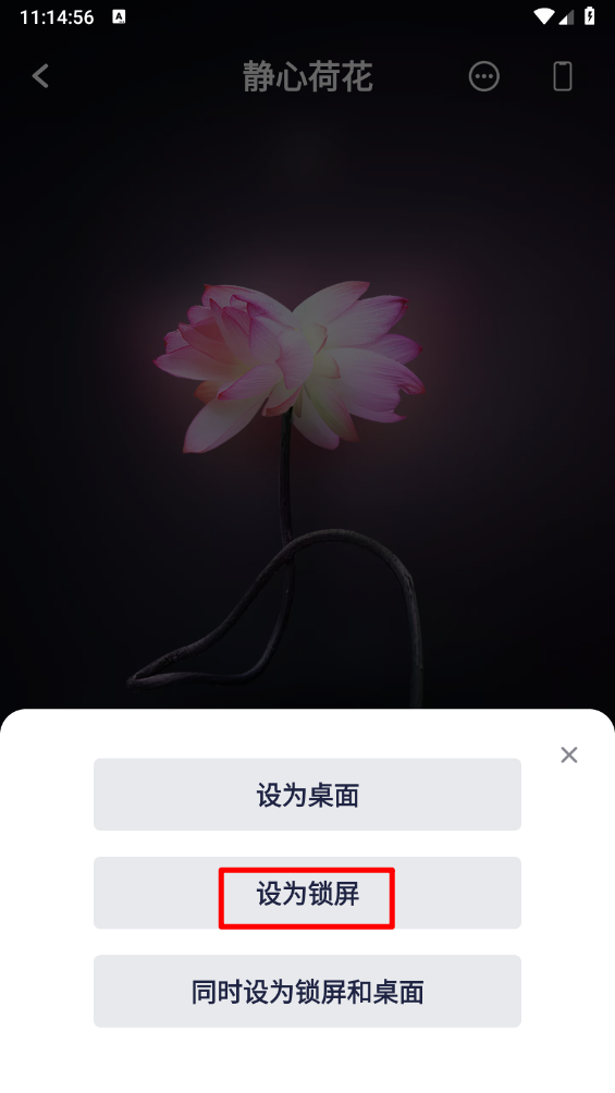 轻松设置哇叽壁纸锁屏：掌握手机美化技巧，提升视觉体验