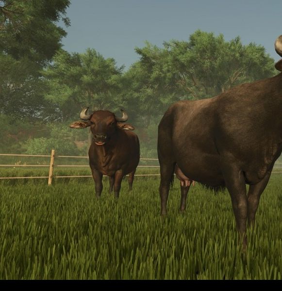 模拟农场25扩展包Plains & Prairies Pack发布：带来全新游戏体验