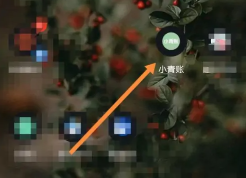 你知道如何开启小青账中的多个账本吗？