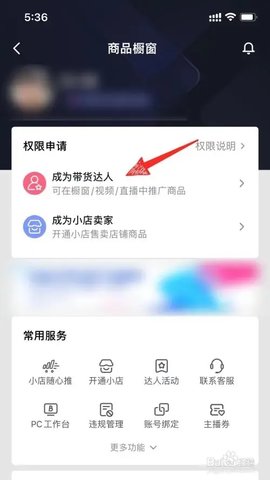 如何通过手游攻略获利？探索抖音商城带货赚佣金的秘诀！