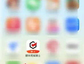 顺丰同城骑士必备健康证攻略：快速认证、解决方案详解
