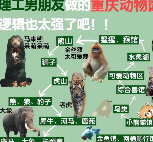 重庆动物园事件揭示：如何保护孩子免受不法侵害？