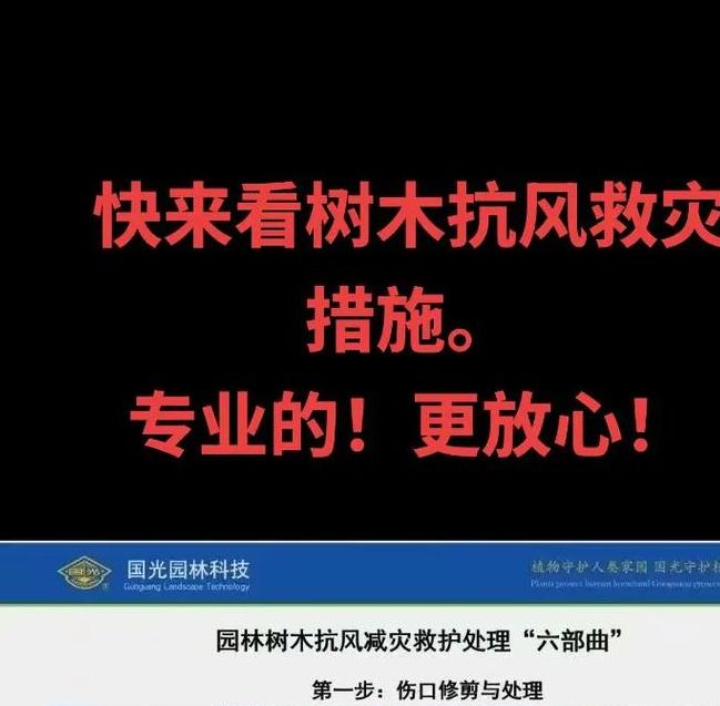 招远市园林部门如何多措并举抗旱护绿？揭示关键策略与成效