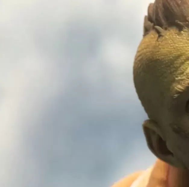 索尼舍弃10款游戏：揭秘背后原因及对玩家的影响
