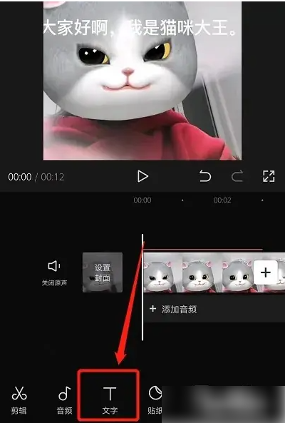 剪映文字转人声配音教程：高效解决方案与实用技巧