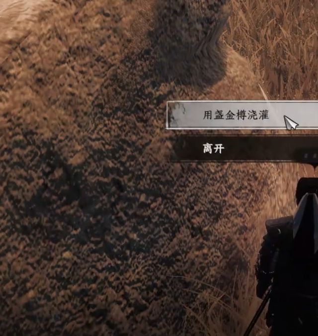 下一站江湖2侠窟秘藏获取指南：快速掌握秘籍技巧与高效解决方案