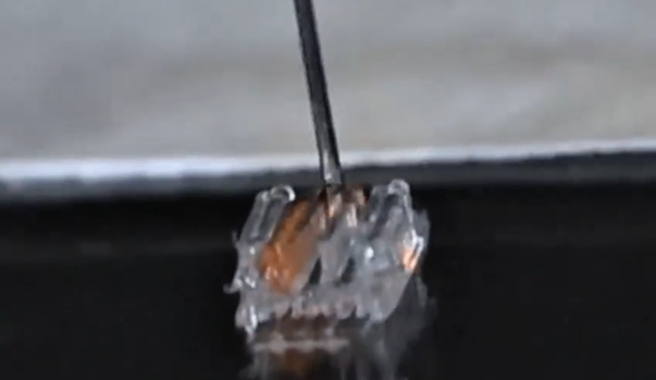 如何利用3D打印技术帮助瘫痪者重新行走？动物实验已验证可行性！