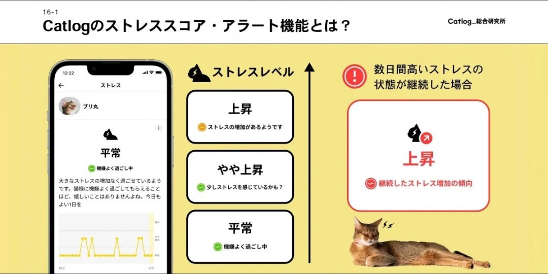 日本创新AI项圈：揭示猫咪压力的神秘信号