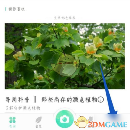 题目优化示例：形色手游头像如何更换？这里有快速实现的方法！