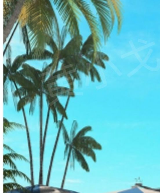 密室逃脱：夏威夷攻略——深度解析如何高效解谜和快速通关