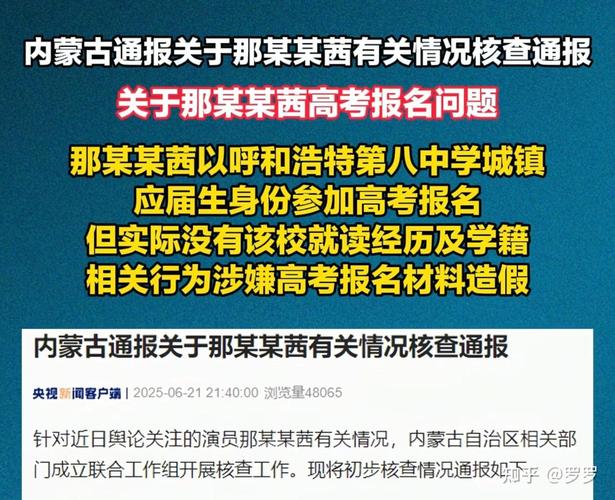 历史揭秘：2025年高考报名材料造假风波，深度解读那尔那茜事件影响与应对策略