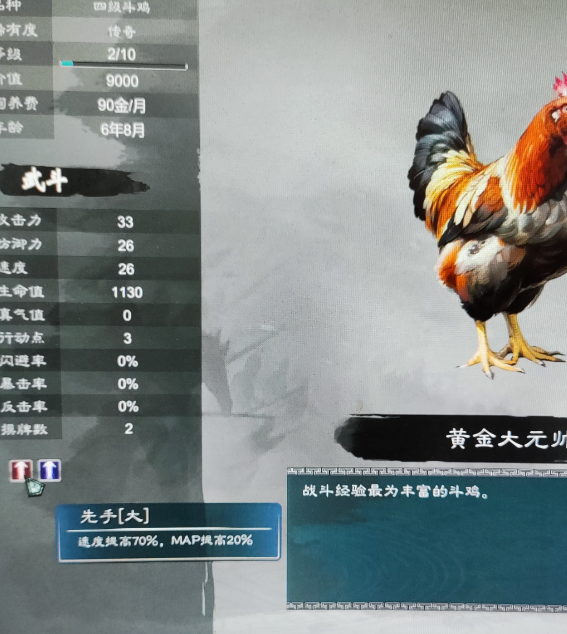 揭秘！三国志斗鸡玩法技巧，玩家必看攻略