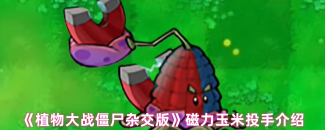你知道植物大战僵尸杂交版中的磁力玉米投手有何特别之处吗？