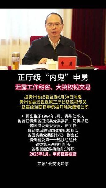 内鬼申勇被双开:你知道他的秘密工作细节吗? 内鬼申勇被双开:你知道他的秘密工作细节吗?