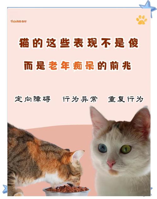 调整建议:猫也会得痴呆症?研究揭秘与人类相似的惊人发现! 调整建议:猫也会得痴呆症?研究揭秘与人类相似的惊人发现!