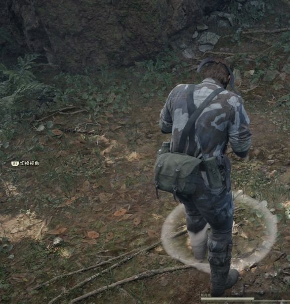 如何在合金装备3:重制版中获得土龙?详细方法解析 如何在合金装备3:重制版中获得土龙?详细方法解析