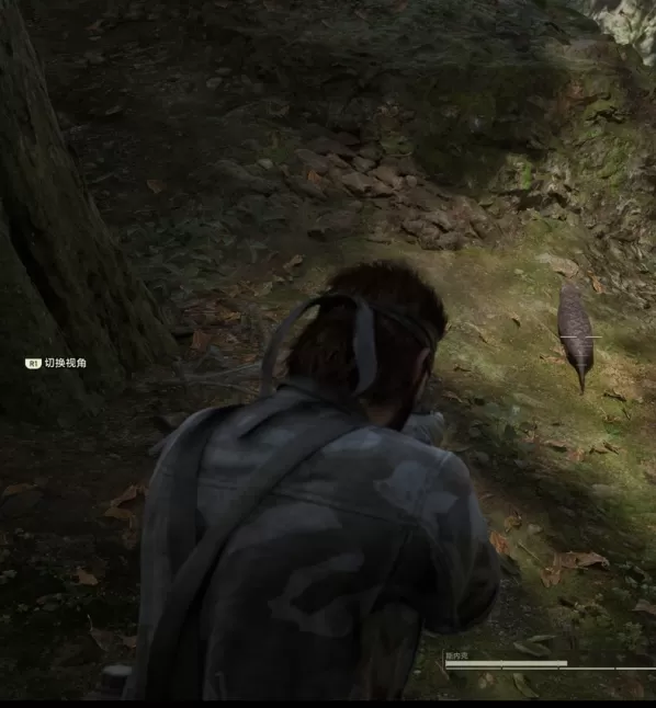 如何在合金装备3:重制版中获得土龙?详细方法解析 如何在合金装备3:重制版中获得土龙?详细方法解析