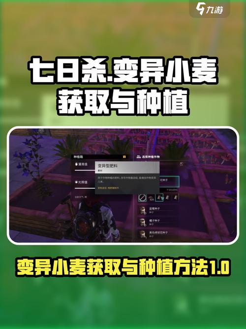 你知道七日世界中的变异小麦在哪里吗?位置指南帮你快速找到! 你知道七日世界中的变异小麦在哪里吗?位置指南帮你快速找到!