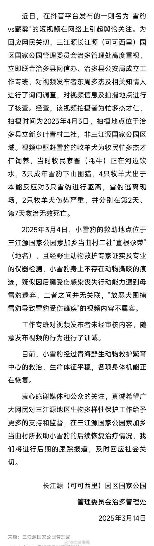 揭秘真相：官方否认放恶犬围捕雪豹致其瘫痪事件不实传闻