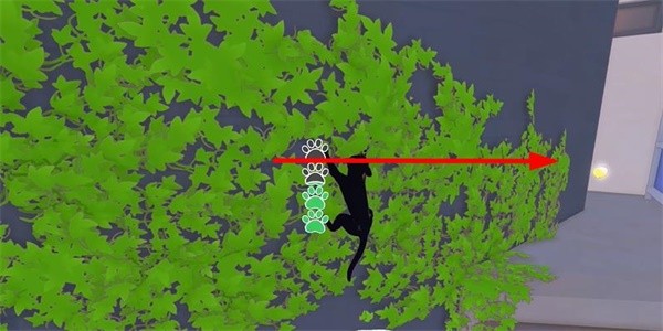 小猫咪大城市：攻略指南——如何高效获取老虎帽