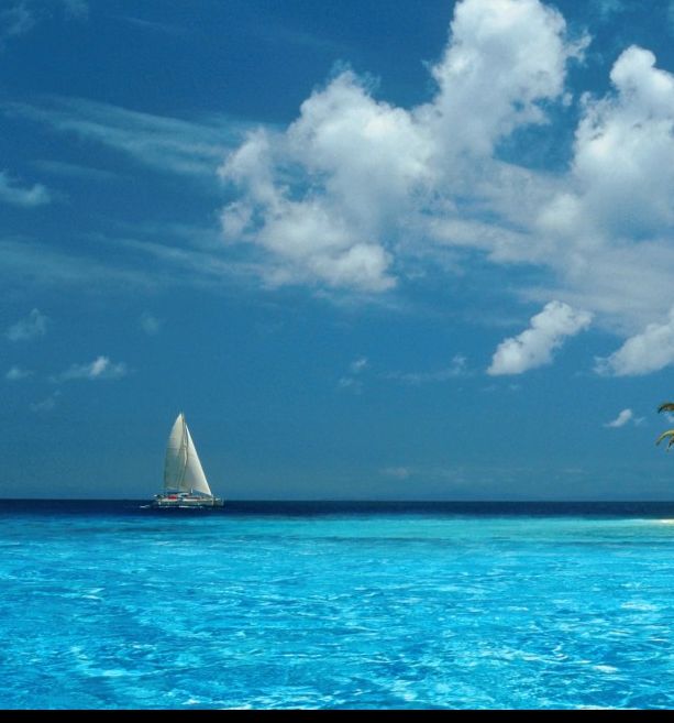 Windows XP经典壁纸背后的秘密,你真的了解吗? Windows XP经典壁纸背后的秘密,你真的了解吗?