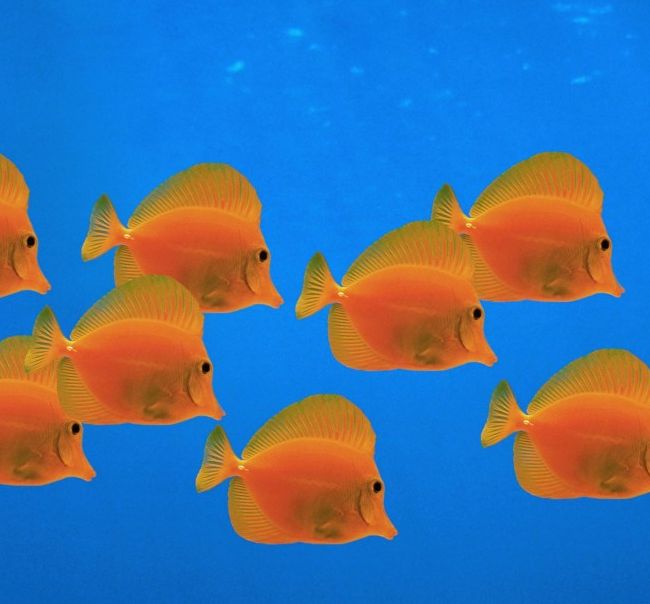 Windows XP经典壁纸背后的秘密,你真的了解吗? Windows XP经典壁纸背后的秘密,你真的了解吗?