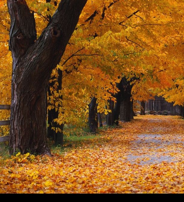 Windows XP经典壁纸背后的秘密,你真的了解吗? Windows XP经典壁纸背后的秘密,你真的了解吗?