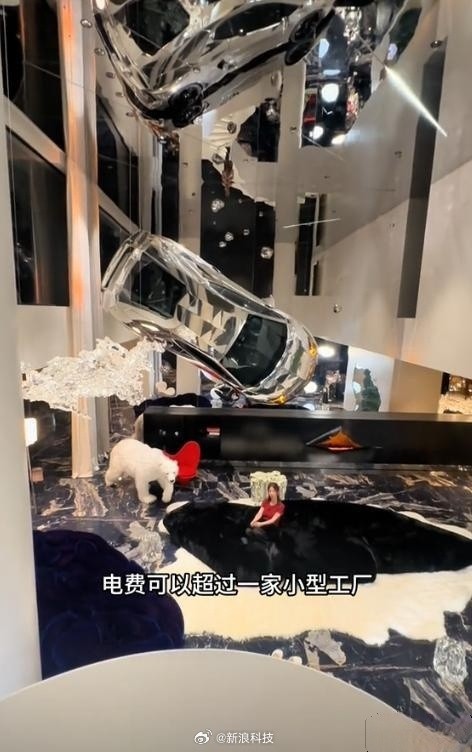 网红炫富遭封号:豪宅装修费8000万是真的吗? 网红炫富遭封号:豪宅装修费8000万是真的吗?