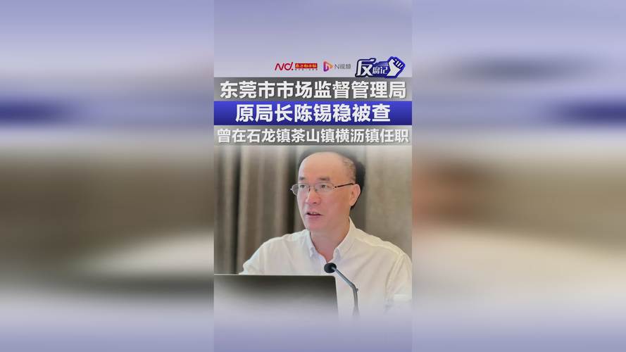 东莞市前市监局长陈锡稳落马：揭秘背后的职场教训和发展机遇