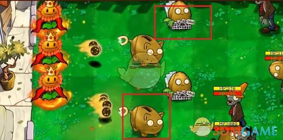 如何轻松通关植物大战僵尸杂交版商店副本斗地主1分？
