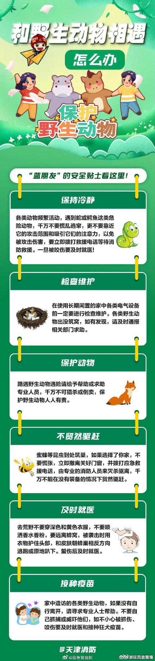 冬季畜牧安全如何保障？沂水县杨庄兽医站为您揭示关键措施！