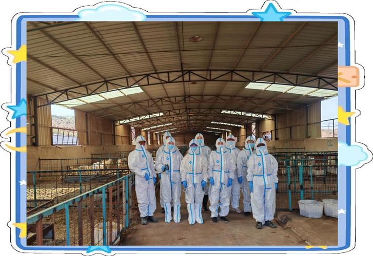 冬季畜牧安全如何保障？沂水县杨庄兽医站为您揭示关键措施！