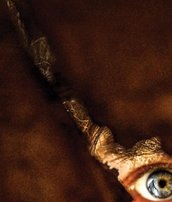 游戏资讯揭秘：重返寂静岭电影海报争议及预告片失望之谜解析