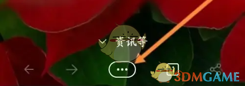 你会设置Edge浏览器搜索引擎吗？掌握这些手游攻略！