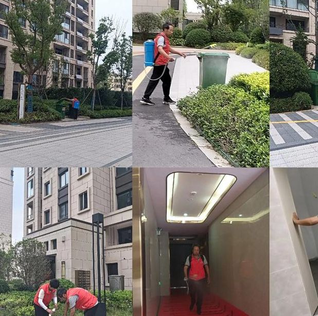 淄博市张店区如何通过科学消杀和环境治理打造无蚊城市？