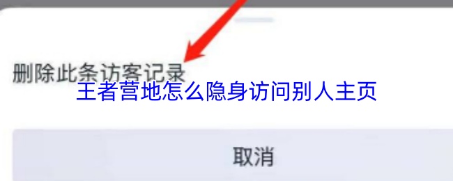 王者营地隐身访问攻略：高效解决方案揭秘