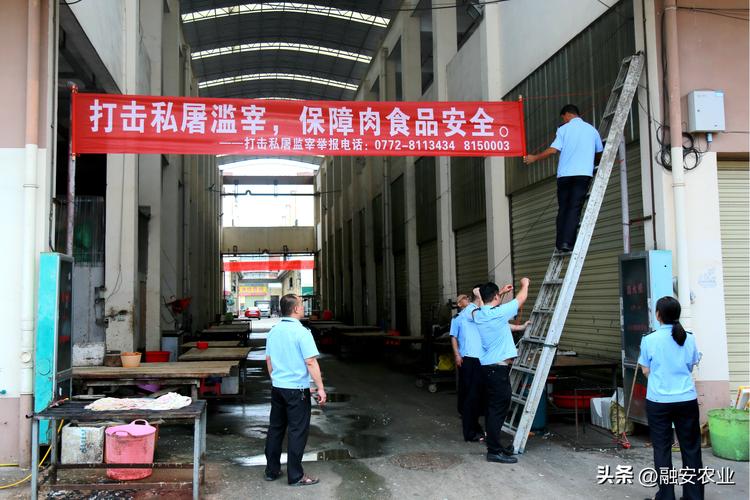 如何确保食品安全？沂水县圈里乡积极开展私屠滥宰排查工作