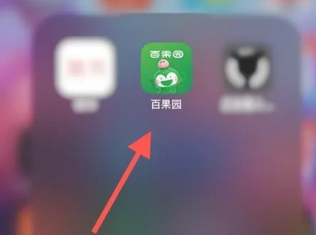 探索百果园APP的隐藏功能：轻松查看交易明细的秘诀