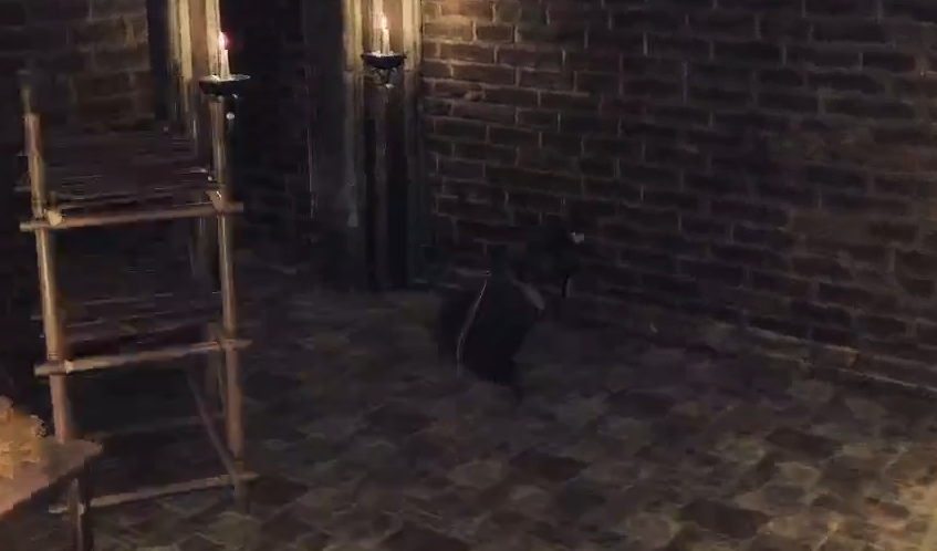 下一站江湖2敲钟神技揭秘:你知道这些诀窍吗? 下一站江湖2敲钟神技揭秘:你知道这些诀窍吗?