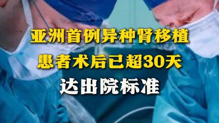 亚洲首例异种肾移植患者术后30天：这项突破意味着什么？