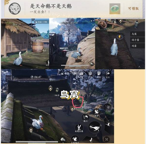 你知道燕云十六声怪盗一只鹅隐藏成就的解锁秘诀吗？