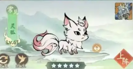 你知道如何在〈寻道大千〉中高效运用灵狐和蜜蜂御灵石吗？