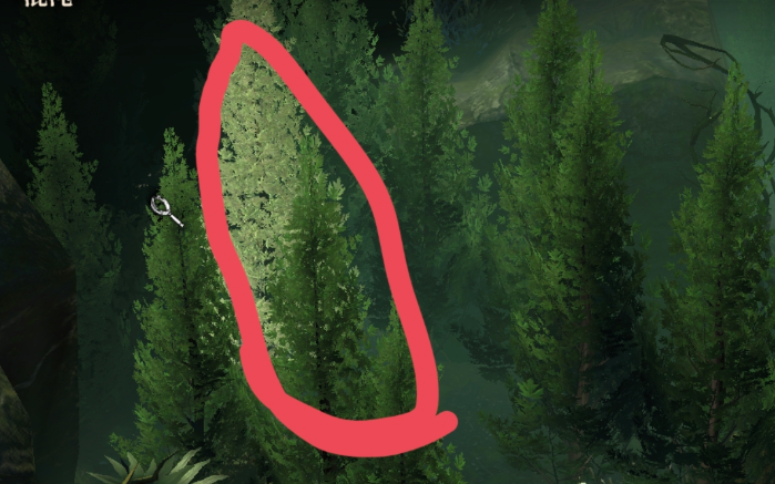 揭秘地下城堡4：骑士与破碎编年史中通关白茗草的独门秘诀，到底是什么？