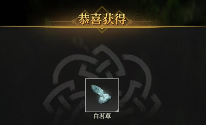 揭秘地下城堡4：骑士与破碎编年史中通关白茗草的独门秘诀，到底是什么？