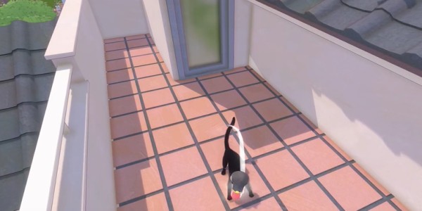 小猫咪大城市：如何快速获取螃蟹帽攻略