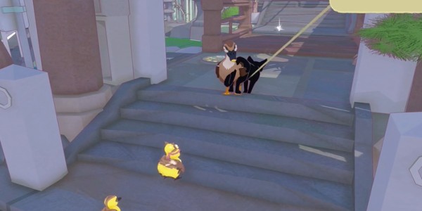 你的小猫咪大城市鸭子帽怎么得？实用攻略教你快速获取！